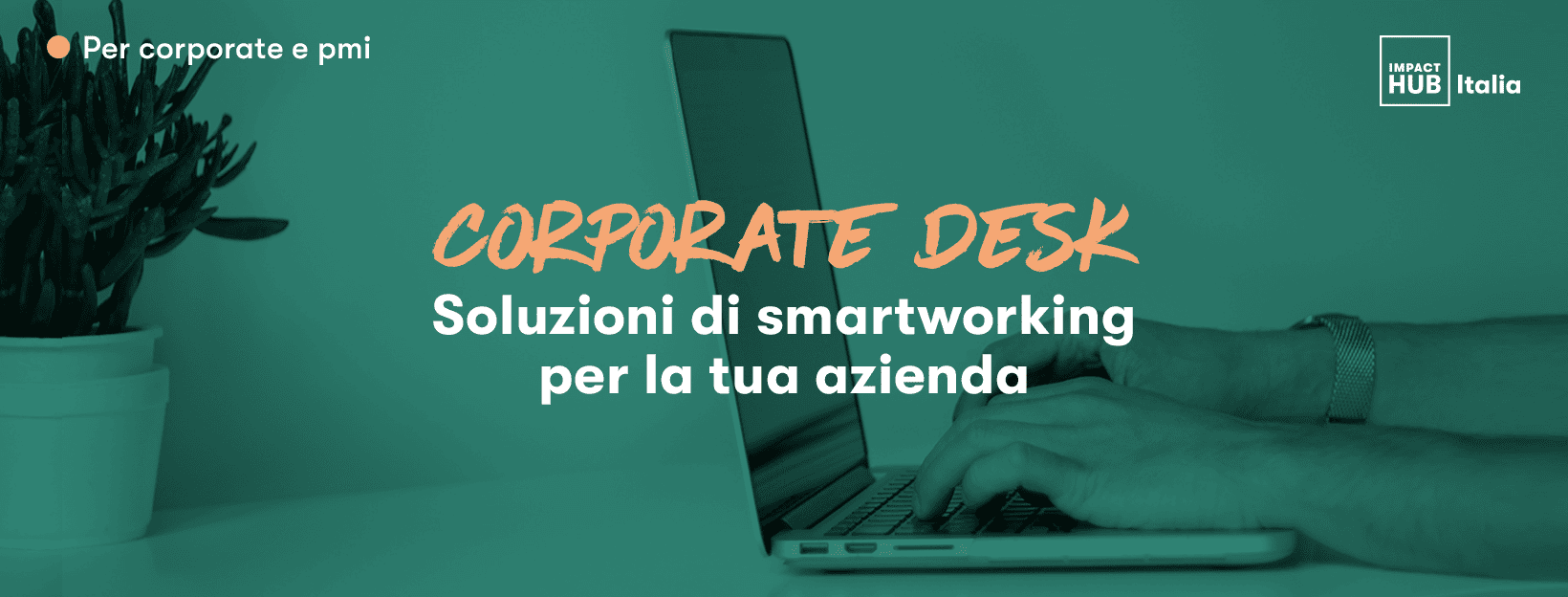 cerca una soluzione