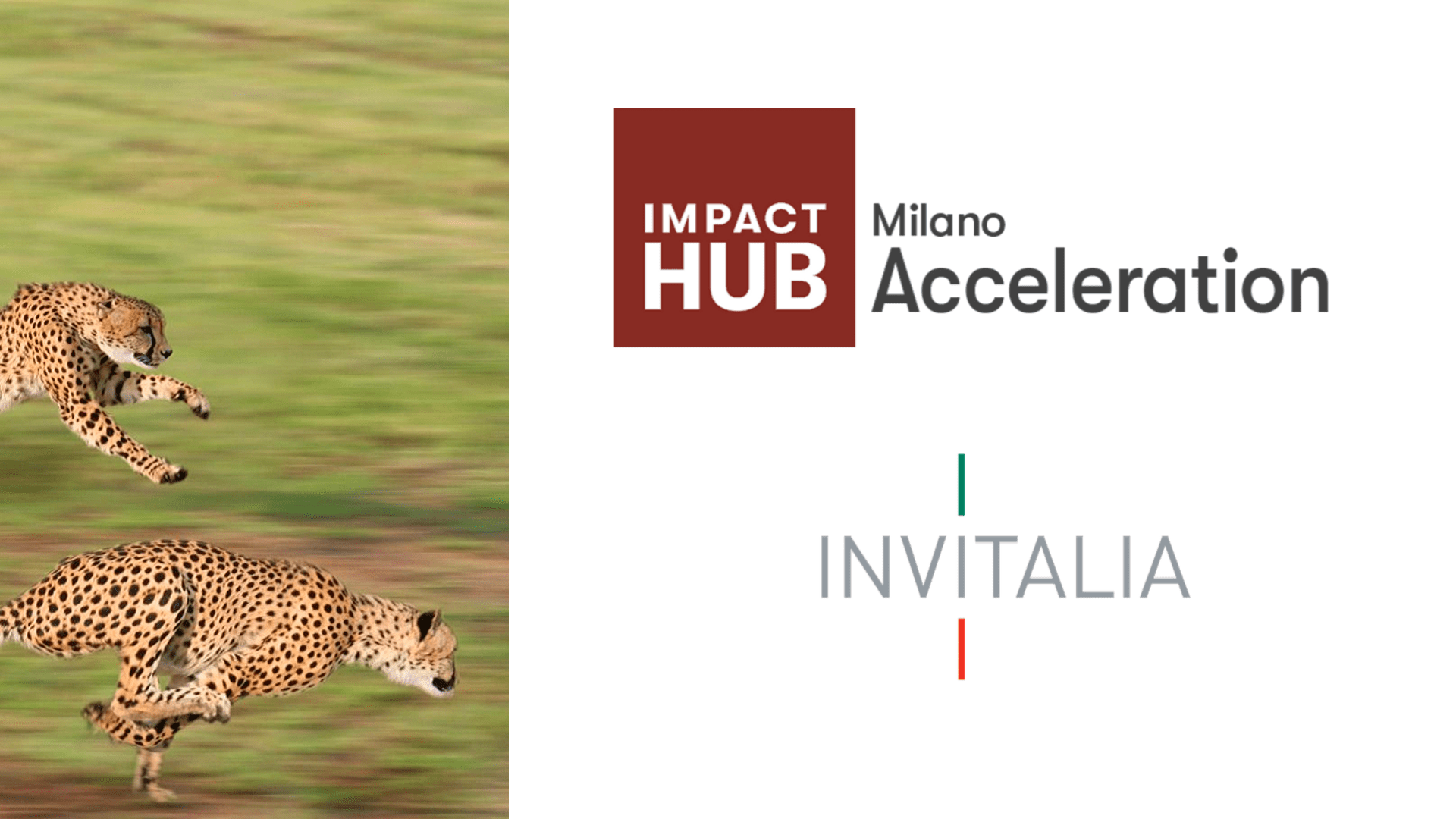 Acceleration e Invitalia