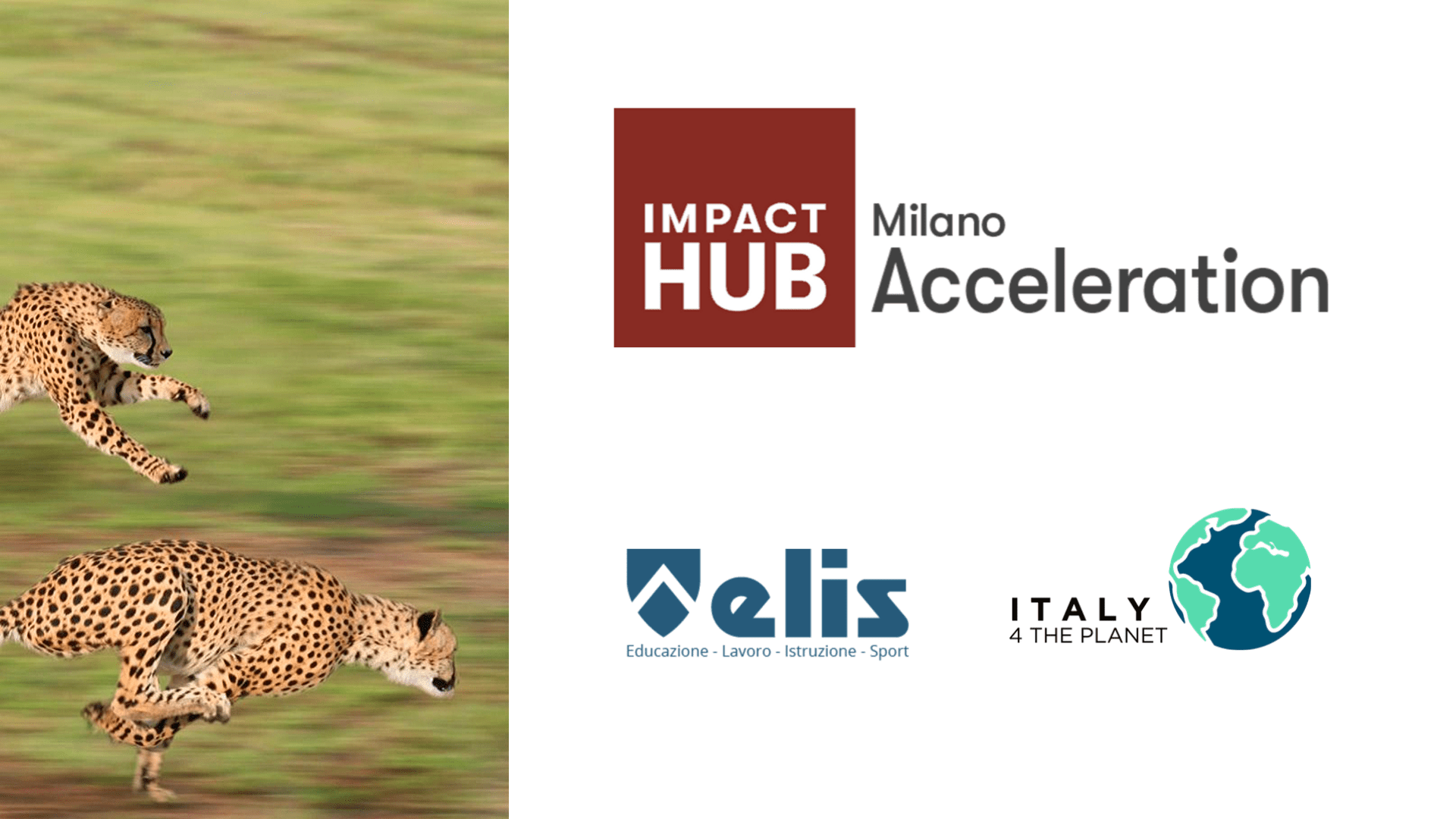 Acceleration, Elis e Italy 4 the planet